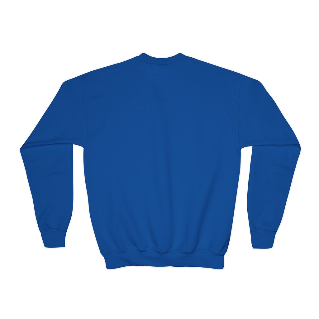 Urbanyx Youth Sweatshirt — 'Urbana' Colorful Graffiti Crewneck